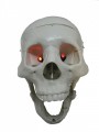 Assembled Scary Terry Talking Skull